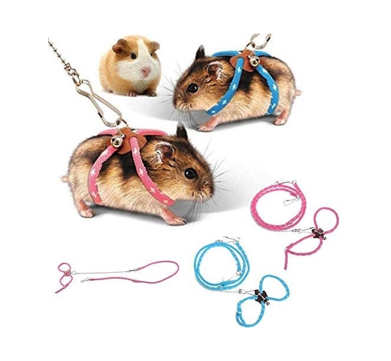 小動物用ハーネス 1