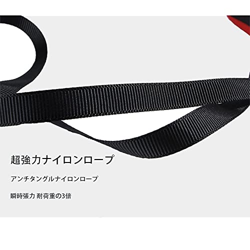 伸縮リード 6