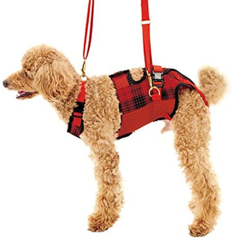 22年 犬用介護ハーネスのおすすめ人気ランキング19選 Mybest 22年 犬用介護ハーネスのおすすめ人気ランキング19選 Mybest