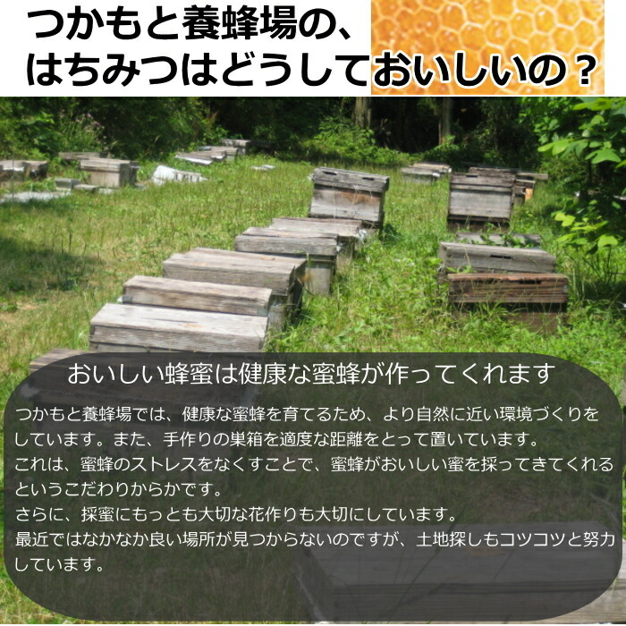匠のはちみつ 蜂蜜 4セット 4