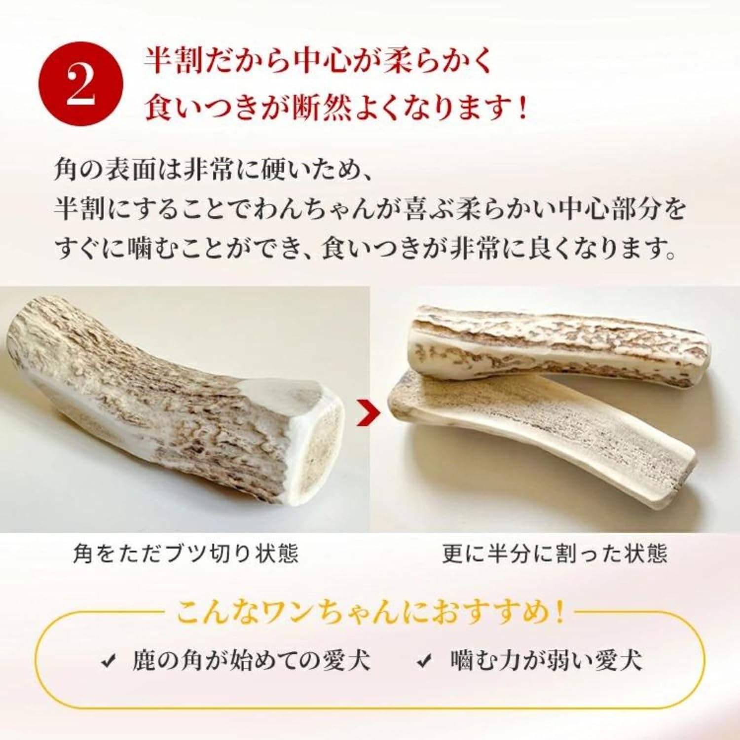 デンタルケア 鹿の角半割り 3