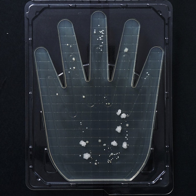 カウブランド 無添加泡のハンドソープを全40商品と比較 口コミや評判を実際に使ってレビューしました Mybest カウブランド 無添加泡のハンドソープを全40商品と比較 口コミや評判を実際に使ってレビューしました Mybest