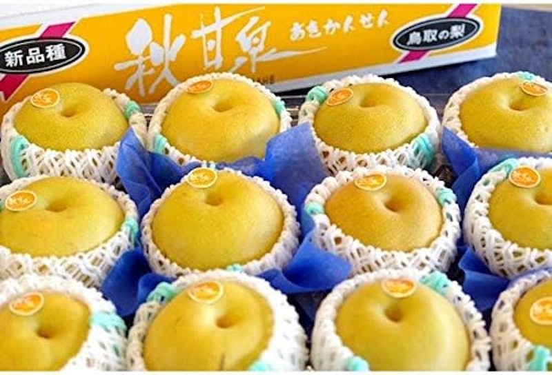 鳥取産 秋甘泉 3