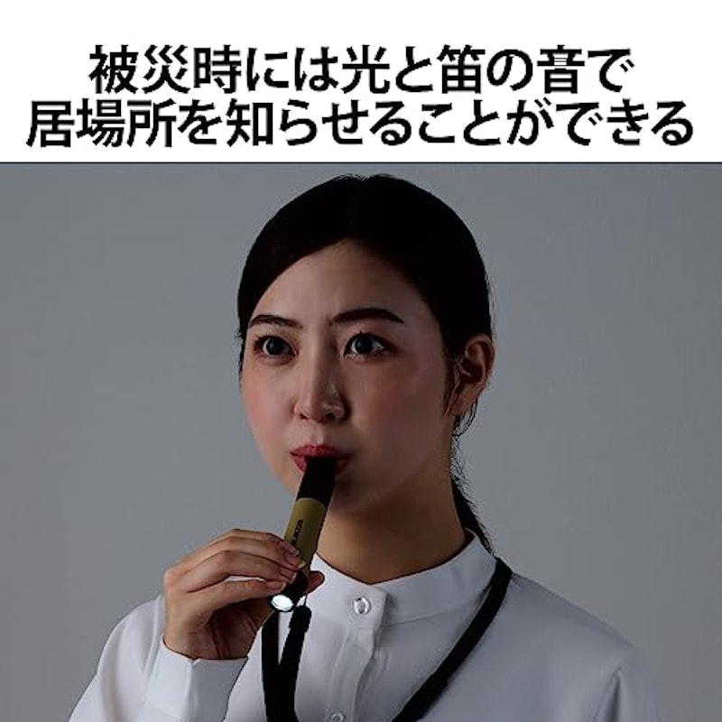 笛タイプ 5