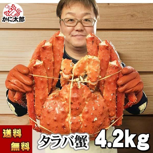 タラバガニ姿 1