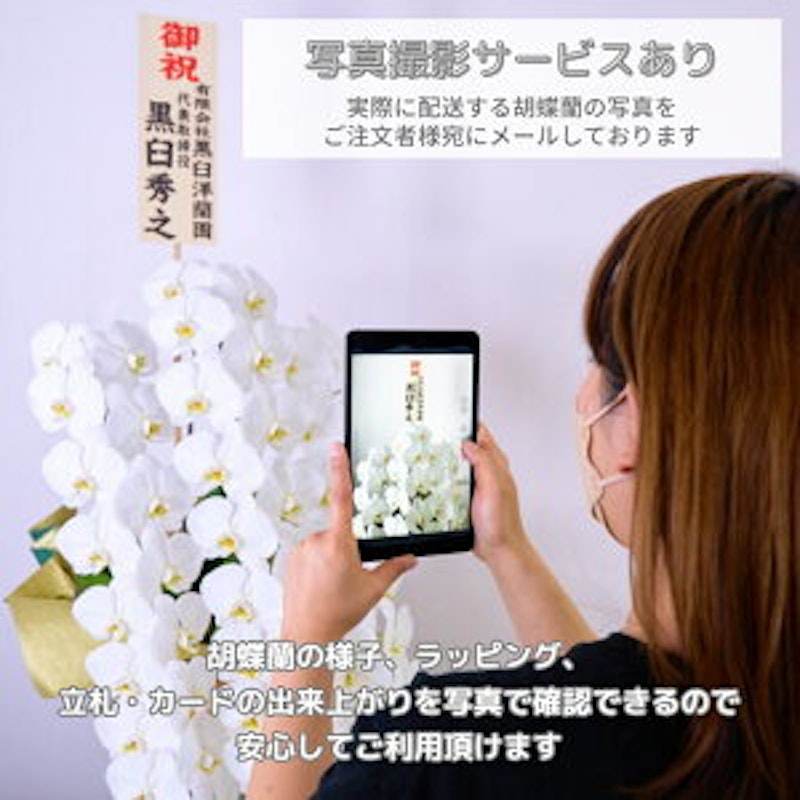 らんや 胡蝶蘭季節のアレンジ Xmasアレンジ 3