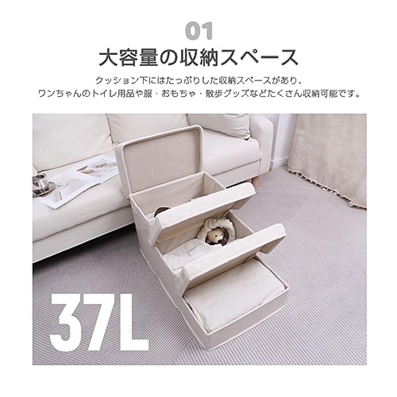 ドッグステップ 2