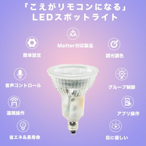 スマートリモコン対応 LED電球 2