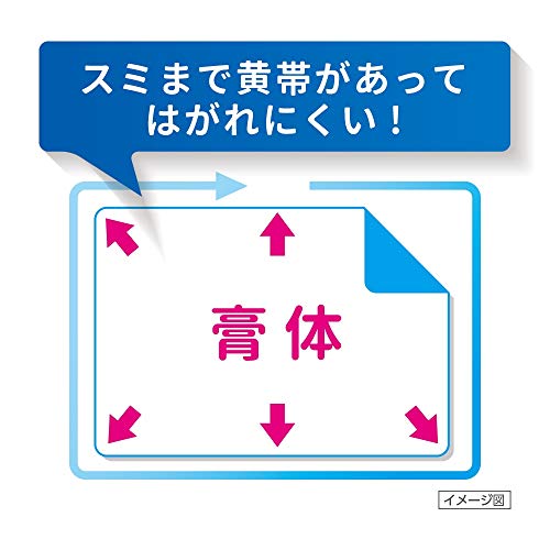 パテックスうすぴたシップ 5