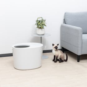 アイリスオーヤマ 上から猫トイレ PUNT-530を検証レビュー!猫用トイレの選び方も紹介 5