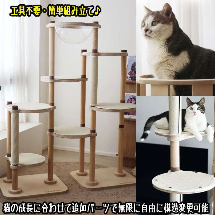 キャットタワー 1
