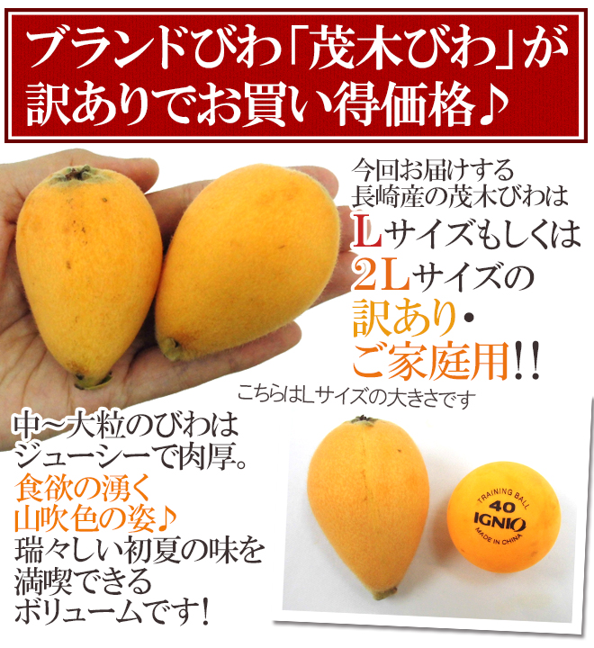 茂木びわ 訳あり 6