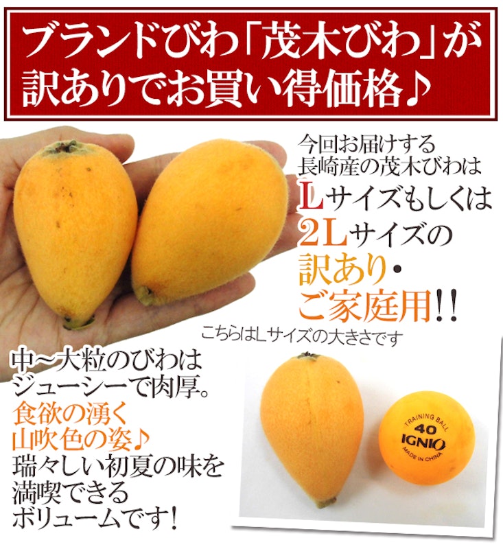 茂木びわ 訳あり 6