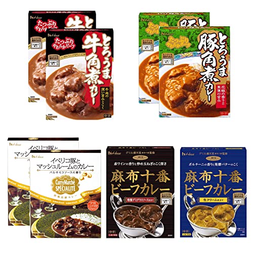 カレー9種＆ハヤシ 哩屋シリーズスペシャルBOX付き 20食 - その他 加工食品