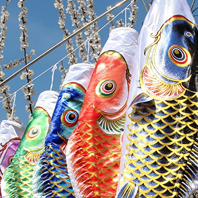 金龍鯉金箔押セット 7