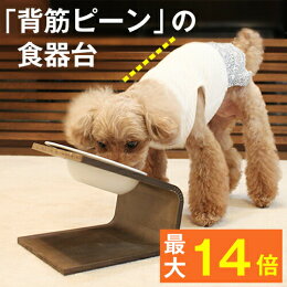 犬用餌台のおすすめ人気ランキング【2026年6月】 2