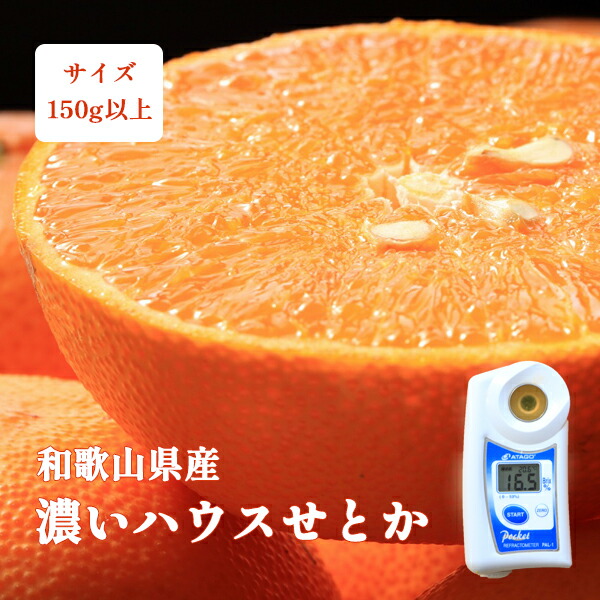 濃いハウスせとか 1