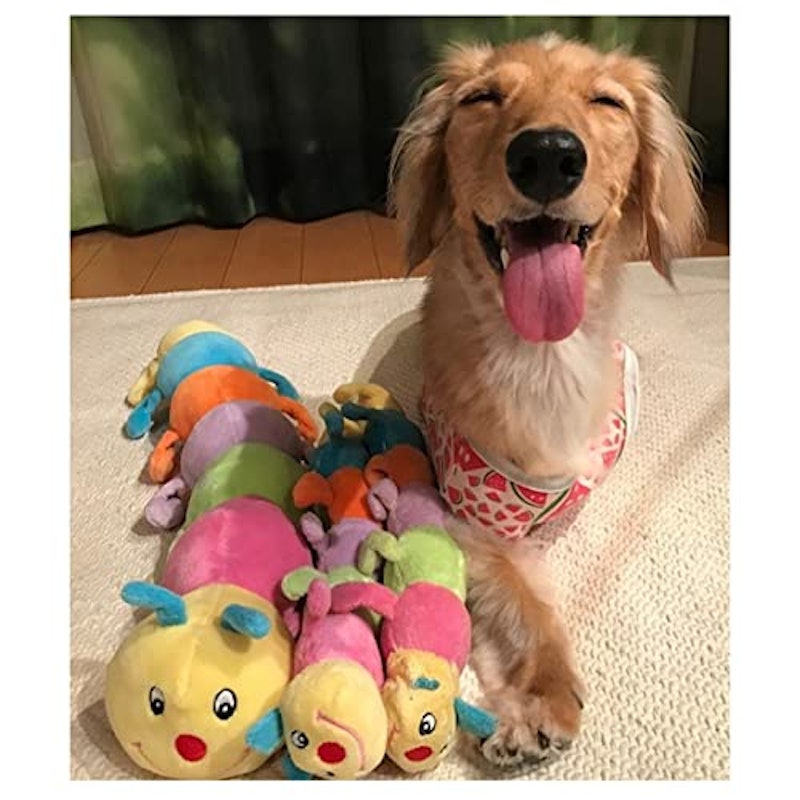 プラッツ キャタピー 3