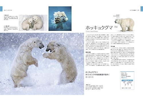 驚くべき世界の野生動物生態図鑑 3