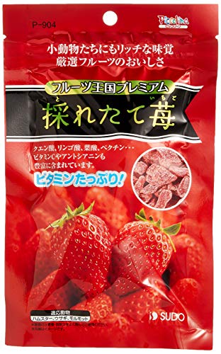 2022年】うさぎのおやつのおすすめ人気ランキング29選【チンチラ・モルモットにも！】 | mybest