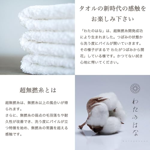 わたのはなNo.2 2