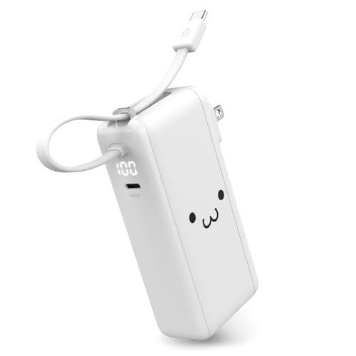 AC充電器・USB Type-Cケーブル一体モバイルバッテリー 1
