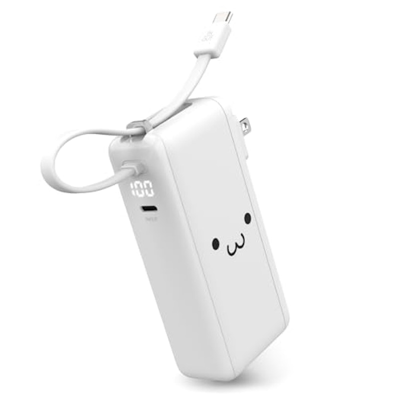 AC充電器・USB Type-Cケーブル一体モバイルバッテリー 1