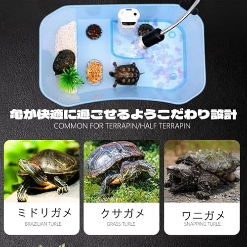 亀の水槽 2