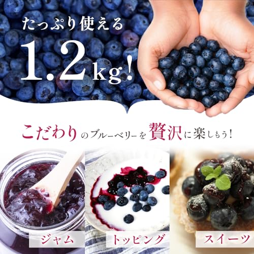 冷凍ブルーベリー 2