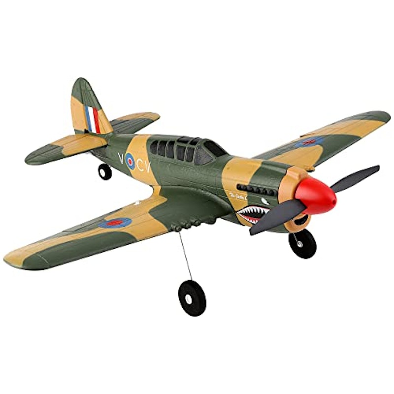 A220 P-40 Fighter RTF 1