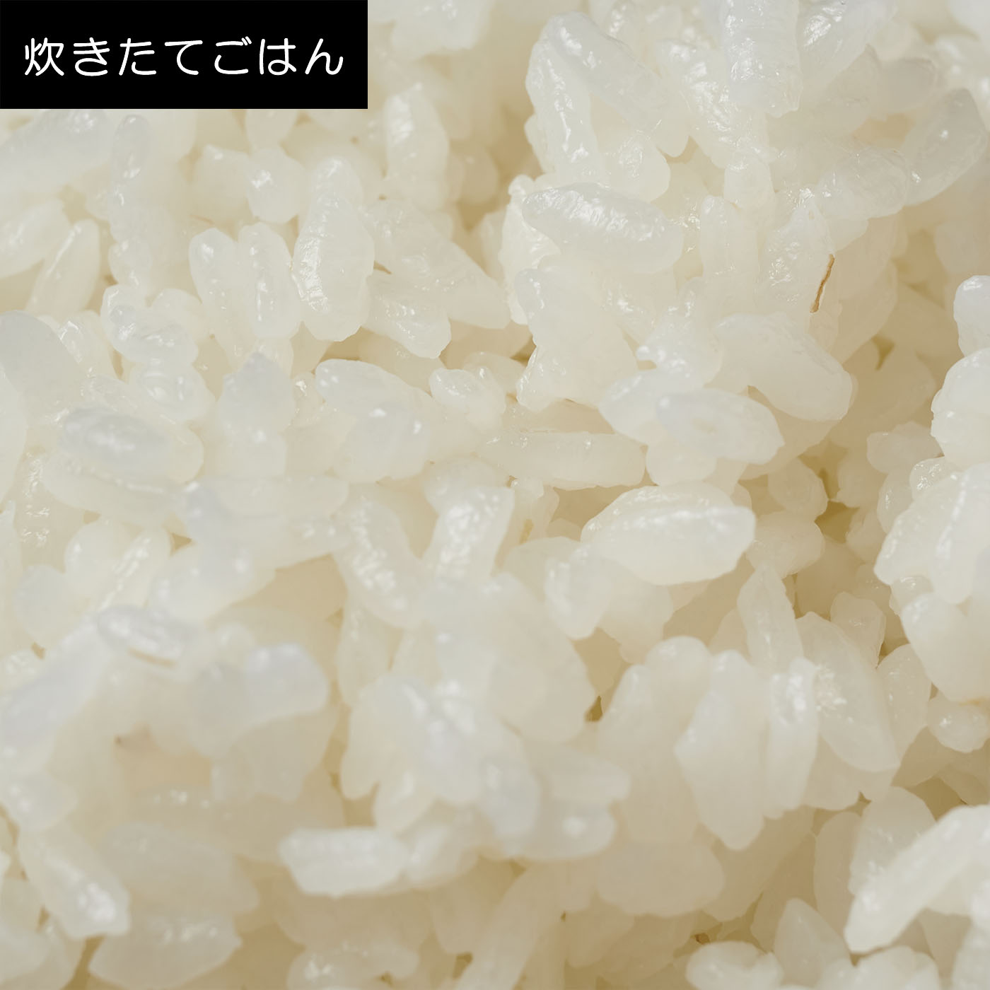 ジャー炊飯器 10