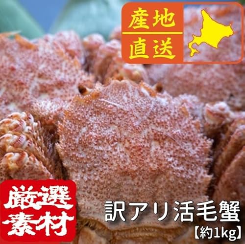 活毛蟹 2