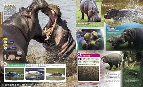 動物　新訂二版 8
