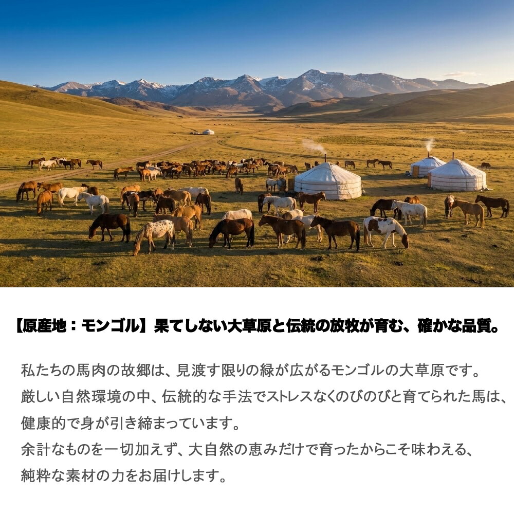 新鮮馬刺し プレミアム上赤身 5