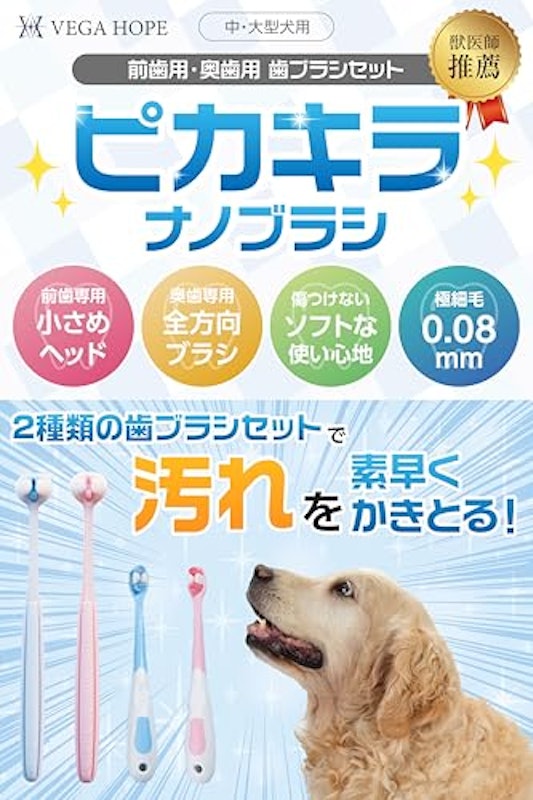 犬歯ブラシ 2