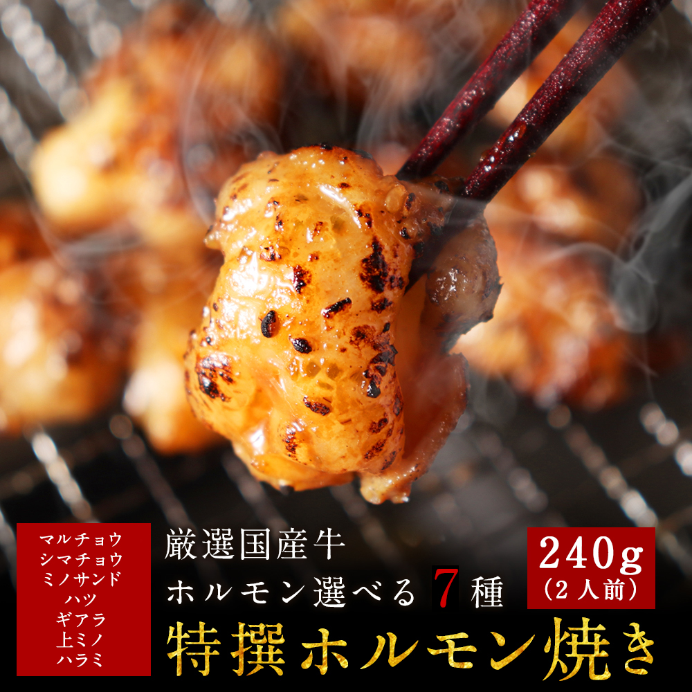 7種から選べる厳選国産牛特撰ホルモン焼き 1