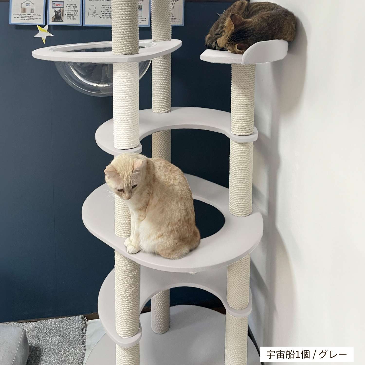 RESIDENCE 宇宙船タイプ 6