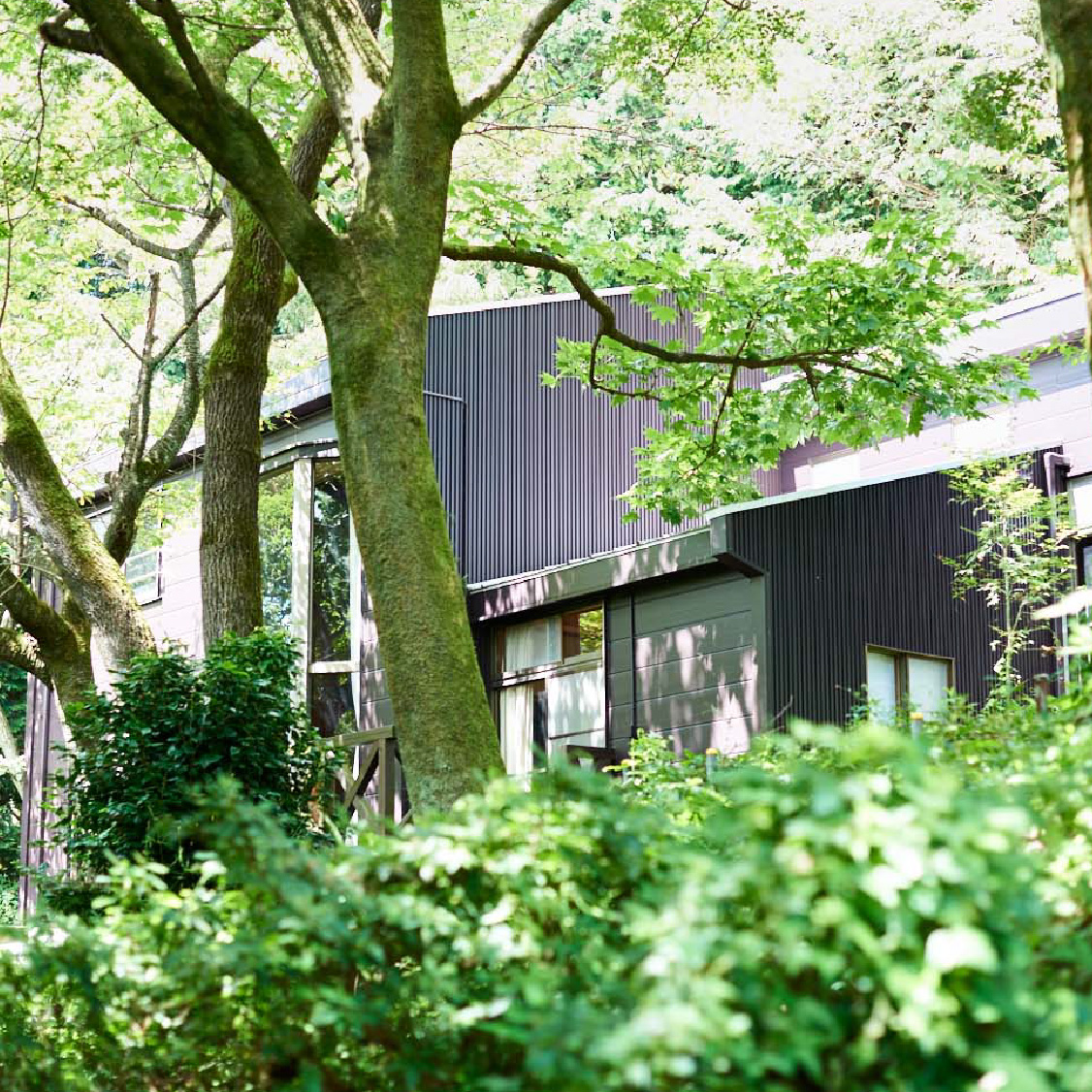泊まれる公園 INN THE PARK 4