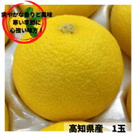 黄柚子 1