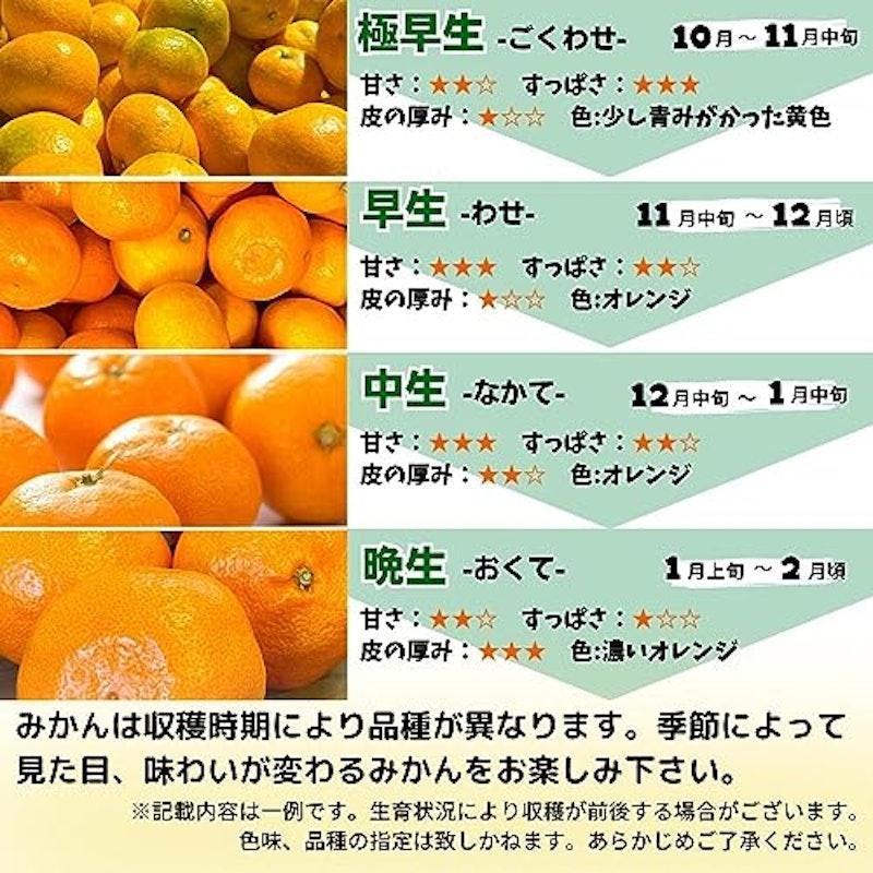 有田みかん 9