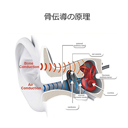 骨伝導 イヤホン 5