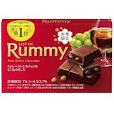 ラムレーズンチョコのおすすめ人気ランキング【2026年8月】 2