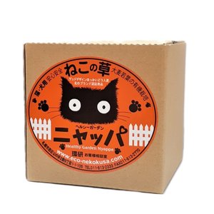 22年 猫草のおすすめ人気ランキング17選 Mybest