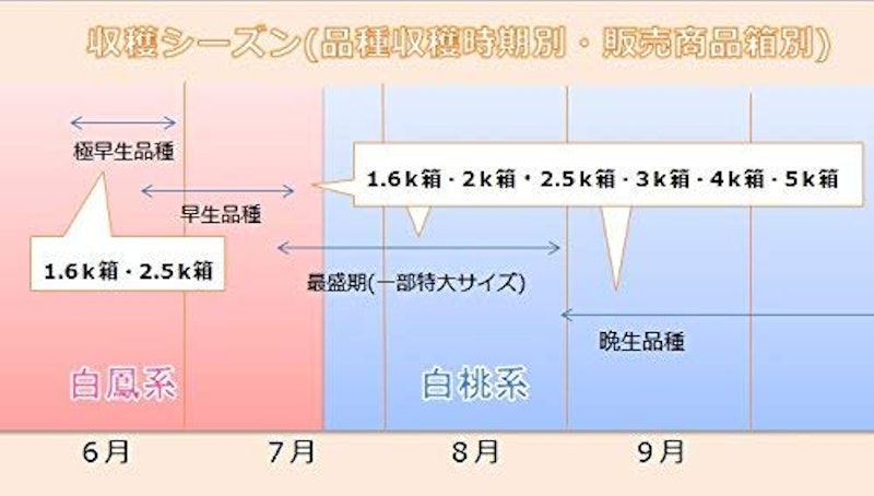 山梨県産 旬の桃 3