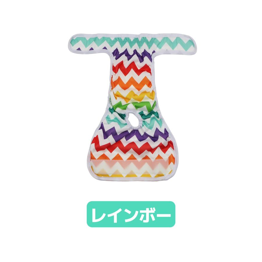 マナーパンツ 4
