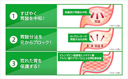ガストール細粒 3