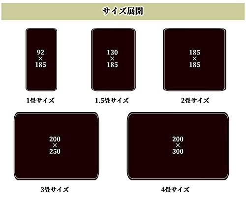 洗えるラグ Dフランネル 3