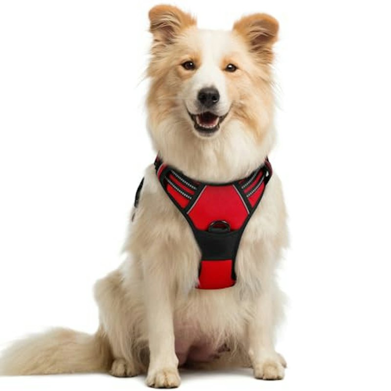 犬ハーネス 1