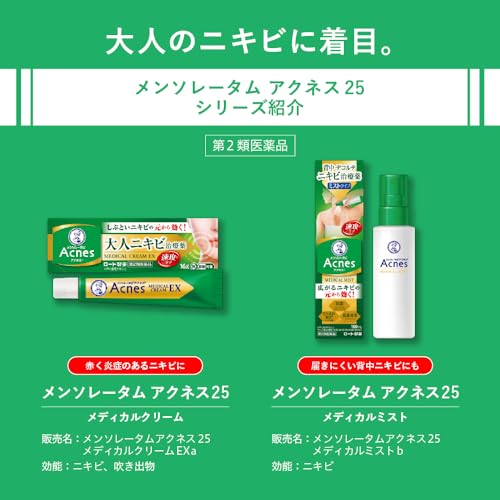 メディカルミストb 6