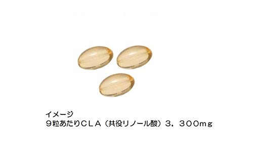 CLA　共役リノール酸 2